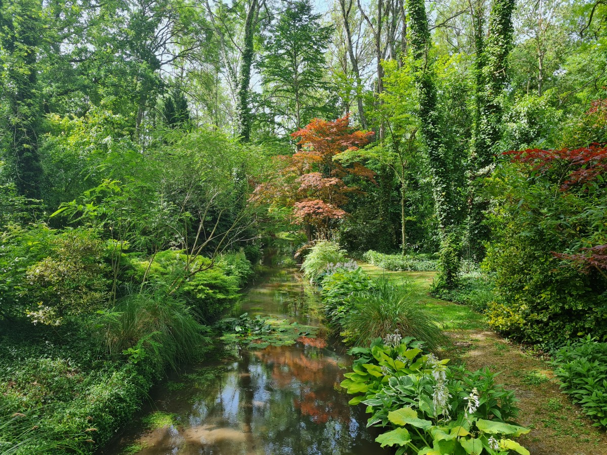 Jardin Arboretum d’Ilex à Meung-sur-Loire (45)