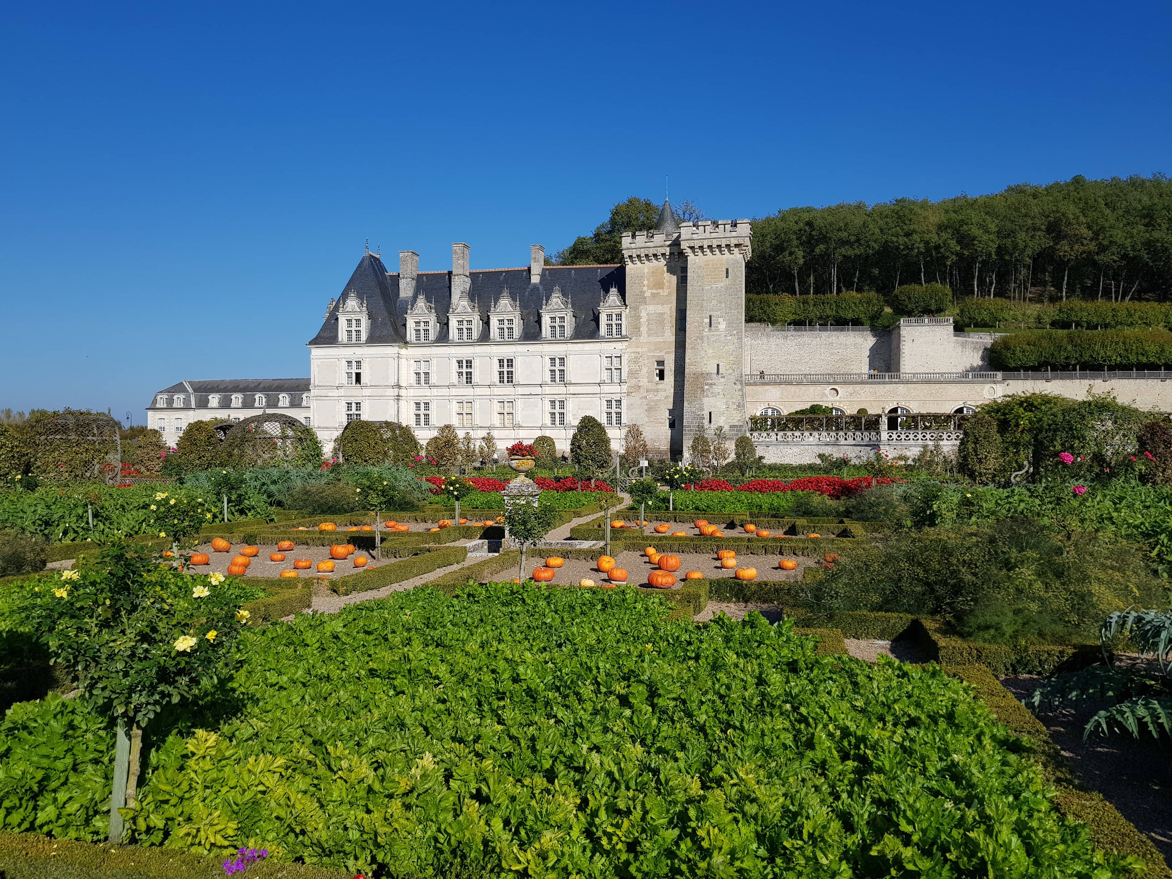 Que faire pendant les vacances de la Toussaint 2023 en Val de Loire ?